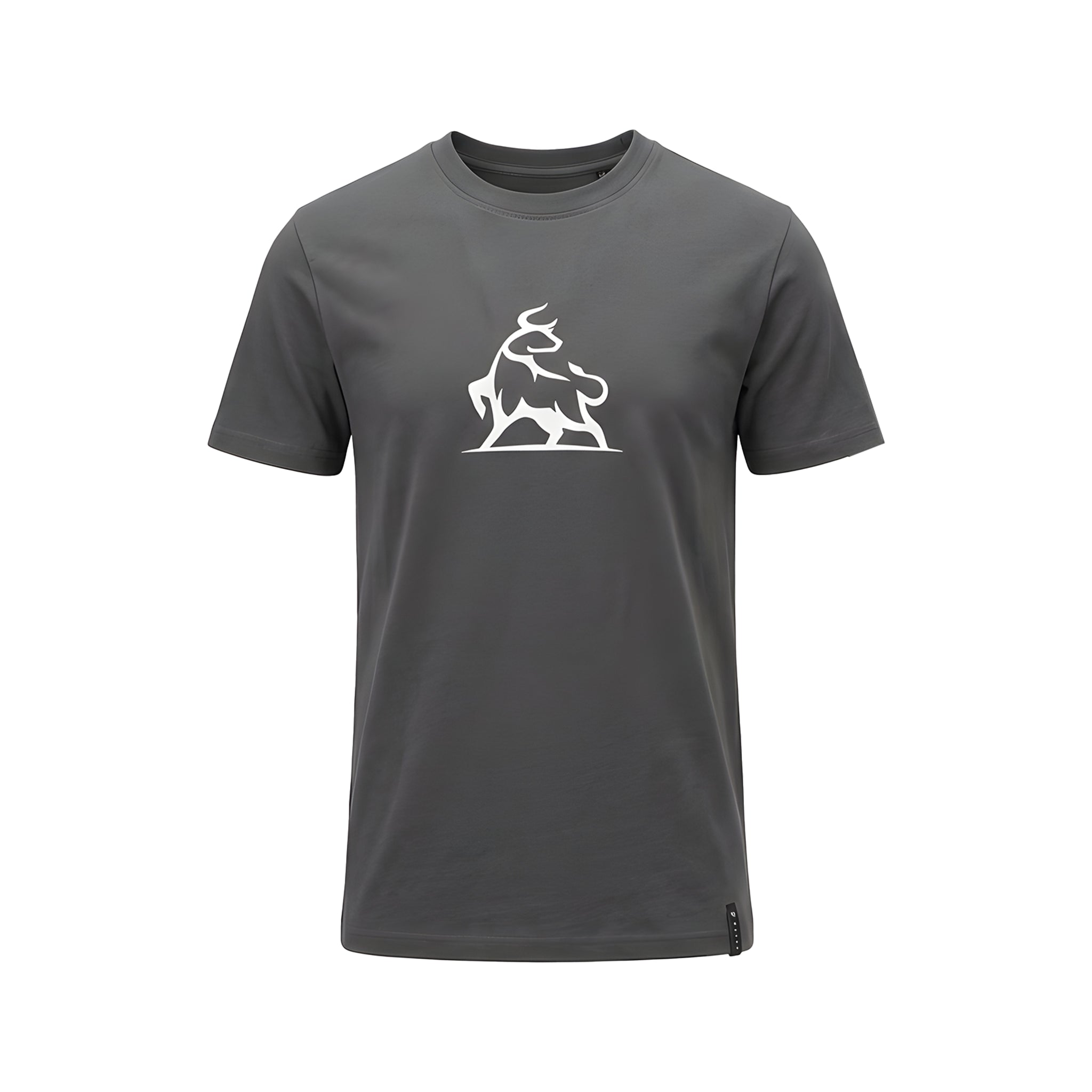 LABYRINTH LAB LOOP TEE ash grey Tシャツ M