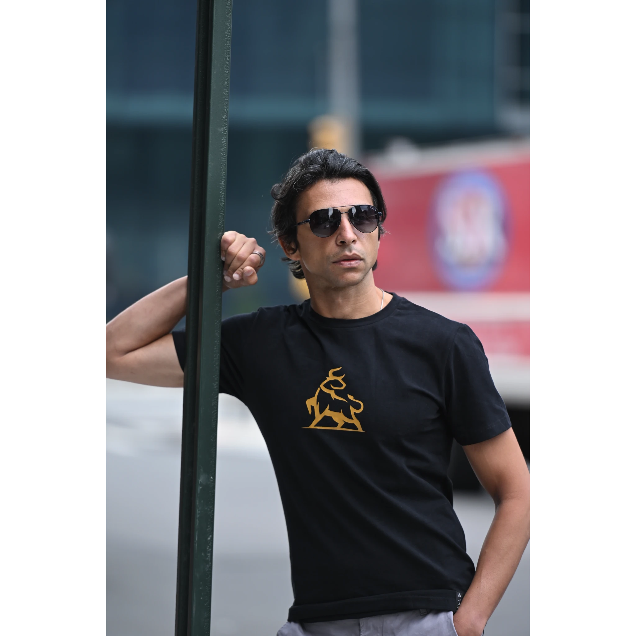 Velvet Ray Sunglasses